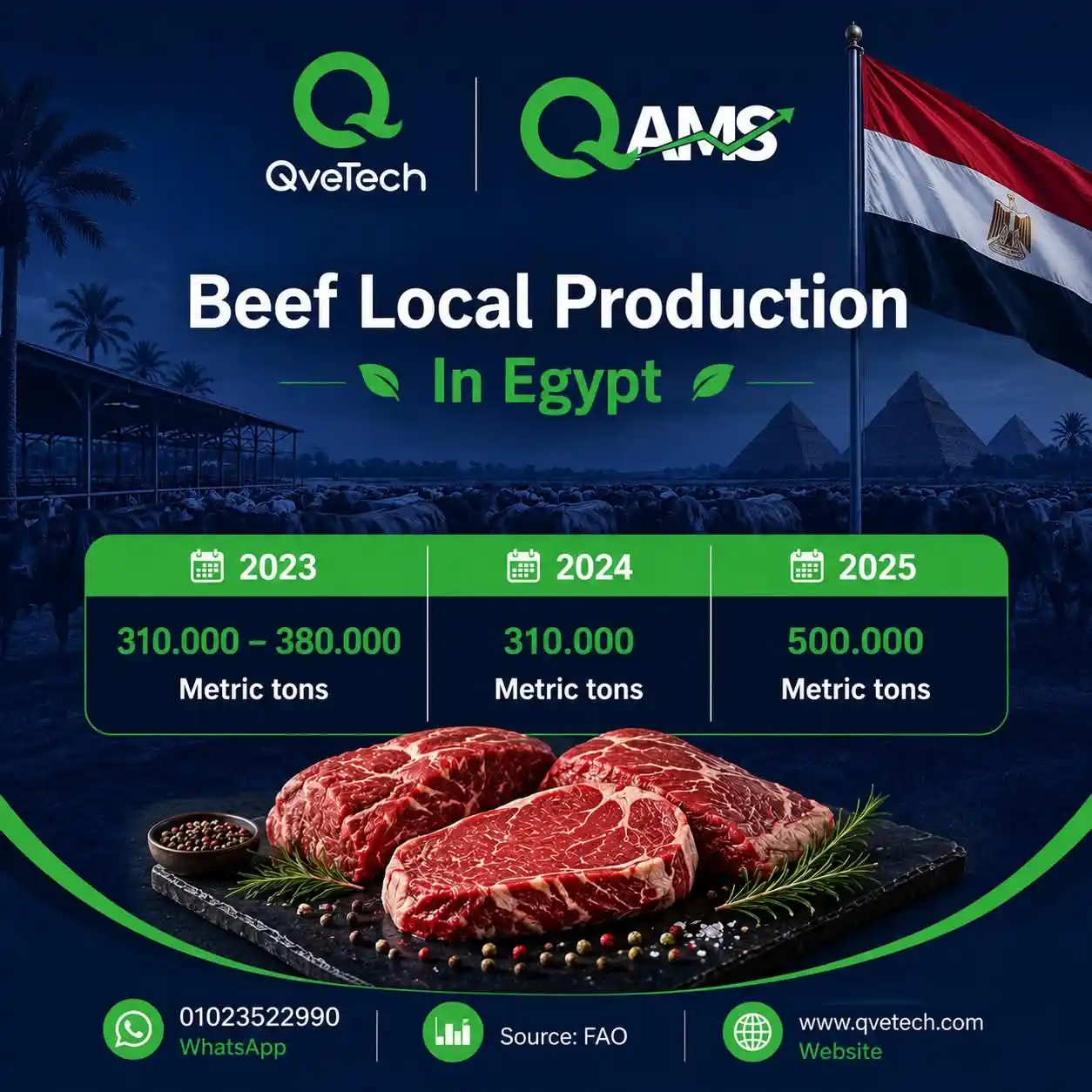 Beef Local Production Egypt